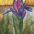 Bayou Iris