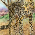I want to be a cheetah when I grow up